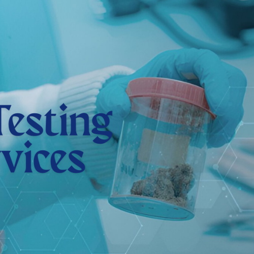 Soil Testing Services in Chennai