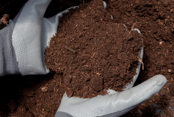 Importance of Soil in construction