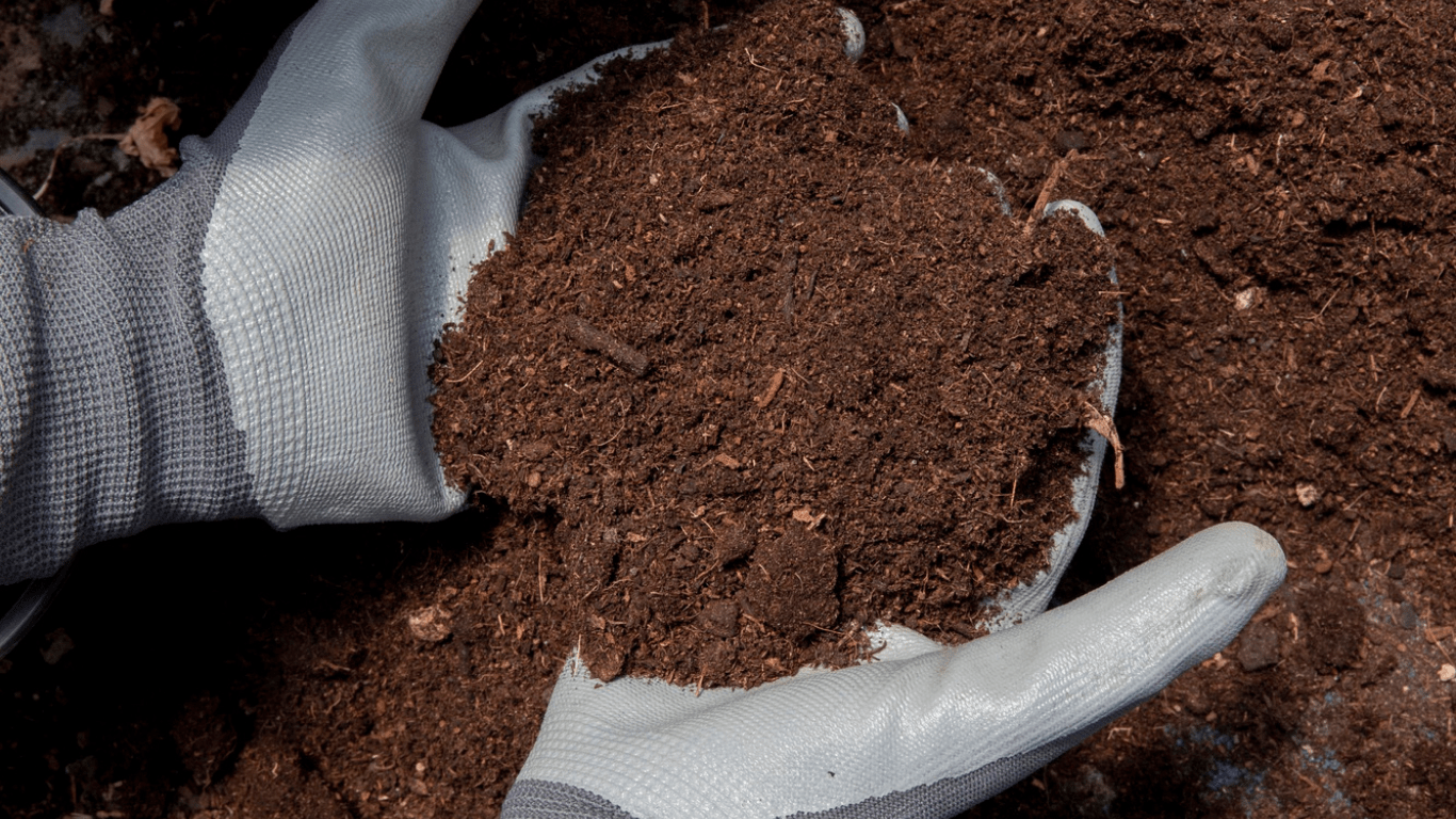 Importance of Soil in construction